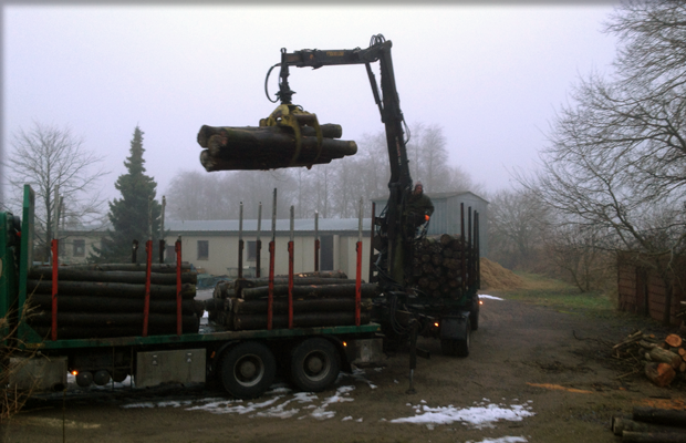 Lkw mit Kran verlädt Stammholz im Morgennebel